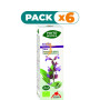 Pack 6x PHYTO-BIOPOLE SALVIA BIO 50Ml. INTERSA