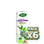 Pack 6x PHYTO-BIOPOLE PASIFLORA BIO 50Ml. INTERSA