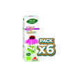 Pack 6x PHYTO-BIOPOLE ECHINACEA BIO 50Ml. INTERSA