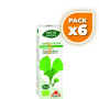 Pack 6x PHYTO-BIOPOLE GINKGO BILOBA BIO 50Ml. INTERSA