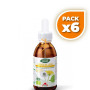 Pack 6x PHYTO-BIOPOLE DIENTE DE LEÓN BIO 50Ml. INTERSA