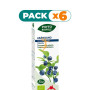 Pack 6x PHYTO-BIOPOLE ARÁNDANO BIO 50Ml. INTERSA