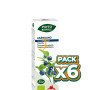 Pack 6x PHYTO-BIOPOLE ARÁNDANO BIO 50Ml. INTERSA