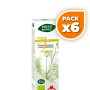 Pack 6x PHYTO-BIOPOLE HINOJO BIO 50Ml. INTERSA
