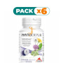 Pack 6x PHYTODEPUR 60 CÁPSULAS INTERSA