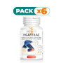 Pack 6x BICARTILAC 100 CAPSULAS INTERSA LABS