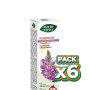 Pack 6x PHYTO-BIOPOLE DESMODIUM 50ML INTERSA