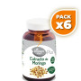 Pack 6x MORINGA 60 CÁPSULAS EL GRANERO