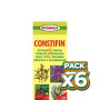 Pack 6x CONSTIFIN JARABE 250Ml. INTEGRALIA
