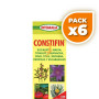Pack 6x CONSTIFIN JARABE 250Ml. INTEGRALIA