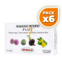 Pack 6x RÁBANO NEGRO PLUS 20 VIALES INTEGRALIA