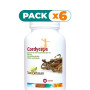 Pack 6x CORDYCEPS 500Mg. 60 CÁPSULAS SURA VITASAN
