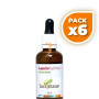 Pack 6x LAPACHO PAU DARCO 50Ml. SURA VITASAN