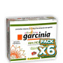 Pack 6x GARCINIA COMPLEX 60 CÁPSULAS PINISAN