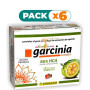 Pack 6x GARCINIA COMPLEX 60 CÁPSULAS PINISAN