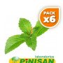 Pack 6x ESTEVIA EN PLANTA 40Gr. PINISAN