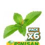 Pack 6x ESTEVIA EN PLANTA 40Gr. PINISAN