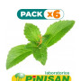 Pack 6x ESTEVIA EN PLANTA 40Gr. PINISAN