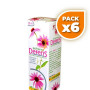 Pack 6x ECHINA DEFENS 50Ml. PINISAN