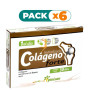 Pack 6x COLÁGENO HIDROLIZADO FORTE 30 CÁPSULAS PINISAN