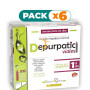 Pack 6x DEPURPATIC 20 VIALES PINISAN