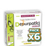 Pack 6x DEPURPATIC 20 VIALES PINISAN