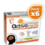 Pack 6x ACTIVAMENTE 15 VIALES PINISAN