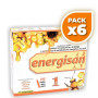 Pack 6x ENERGISAN 15 VIALES PINISAN