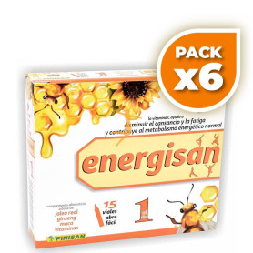 Pack 6x ENERGISAN 15 VIALES PINISAN