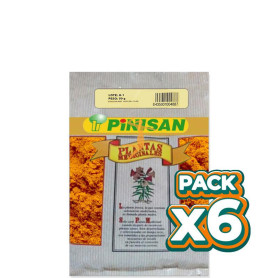 Pack 6x CÚRCUMA RAÍZ POLVO 50Gr. PINISAN