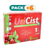 Pack 6x URICIST 30 CÁPSULAS PINISAN