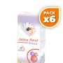 Pack 6x JALEA REAL FRESCA PINISAN