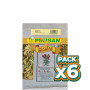 Pack 6x ABEDUL HOJAS 30Gr. PINISAN