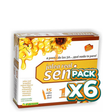 Pack 6x JALEA REAL SENIOR 15 VIALES PINISAN