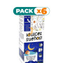 Pack 6x DULCES SUEÑOS PINISANITOS 250 Ml. PINISAN