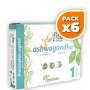 Pack 6x ASHWAGANDHA 30 CAPSULAS FITO PREMIUM, PINISAN