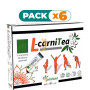 Pack 6x L-CARNITEA 15 STICKS PINISAN