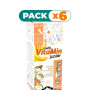 Pack 6x MULTI VITAMIN JUNIOR 250ML PINISAN