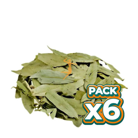 Pack 6x SEN HOJAS 1KG PINISAN