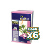 Pack 6x ECODIET TILA 20 FILTROS BIO NOVA DIET