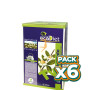 Pack 6x ECODIET TE VERDE 20 FILTROS BIO NOVA DIET