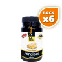 Pack 6x JENGIBRE 30 CÁPSULAS NOVA DIET