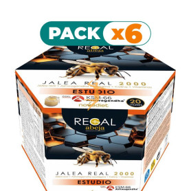 Pack 6x REGAL ABEJA ESTUDIO 20 VIALES NOVA DIET
