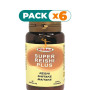 Pack 6x SUPER REISHI PLUS 60 CAPSULAS INTEGRALIA