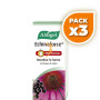 Pack 3x ECHINAFORCE HOT DRINK 100Ml. A. VOGEL (BIOFORCE)