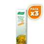 Pack 3x CREMA BIOFORCE 35Gr. A. VOGEL (BIOFORCE)