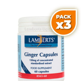 Pack 3x JENGIBRE 120Mg. LAMBERTS
