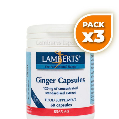Pack 3x JENGIBRE 120Mg. LAMBERTS