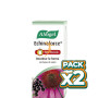 Pack 2x ECHINAFORCE HOT DRINK 100Ml. A. VOGEL (BIOFORCE)
