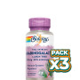Pack 3x ARABINOGALACTANO 60 CÁPSULAS VEGETALES SOLARAY